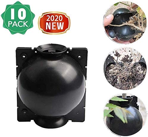 50% OFF--Plant Root Growing Box