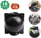 50% OFF--Plant Root Growing Box