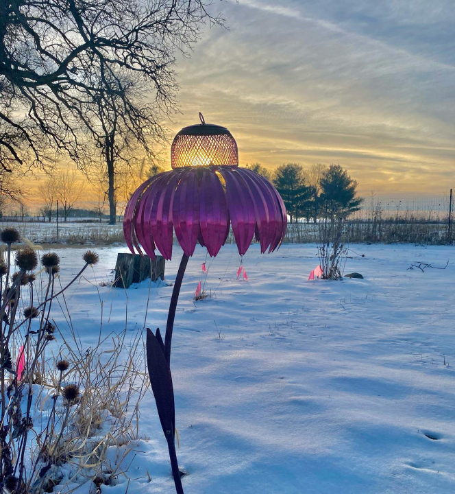 Last Day Promotion 75% OFF - Sensation Pink Coneflower Bird Feeder