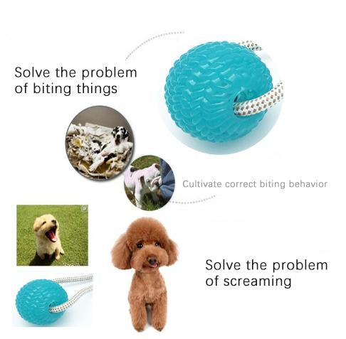 【Anniversary sale -50% OFF】Multifunction Pet Molar Bite Toy